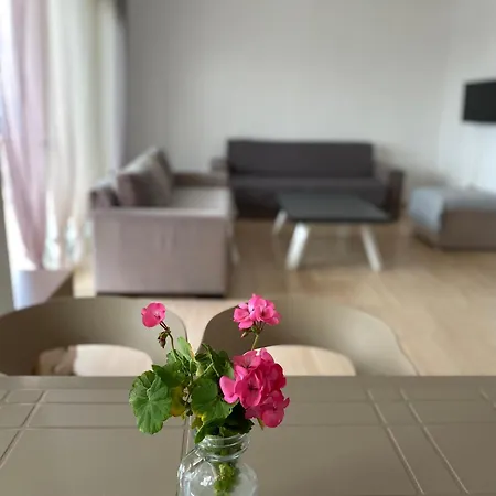 Apartment Suzi's *